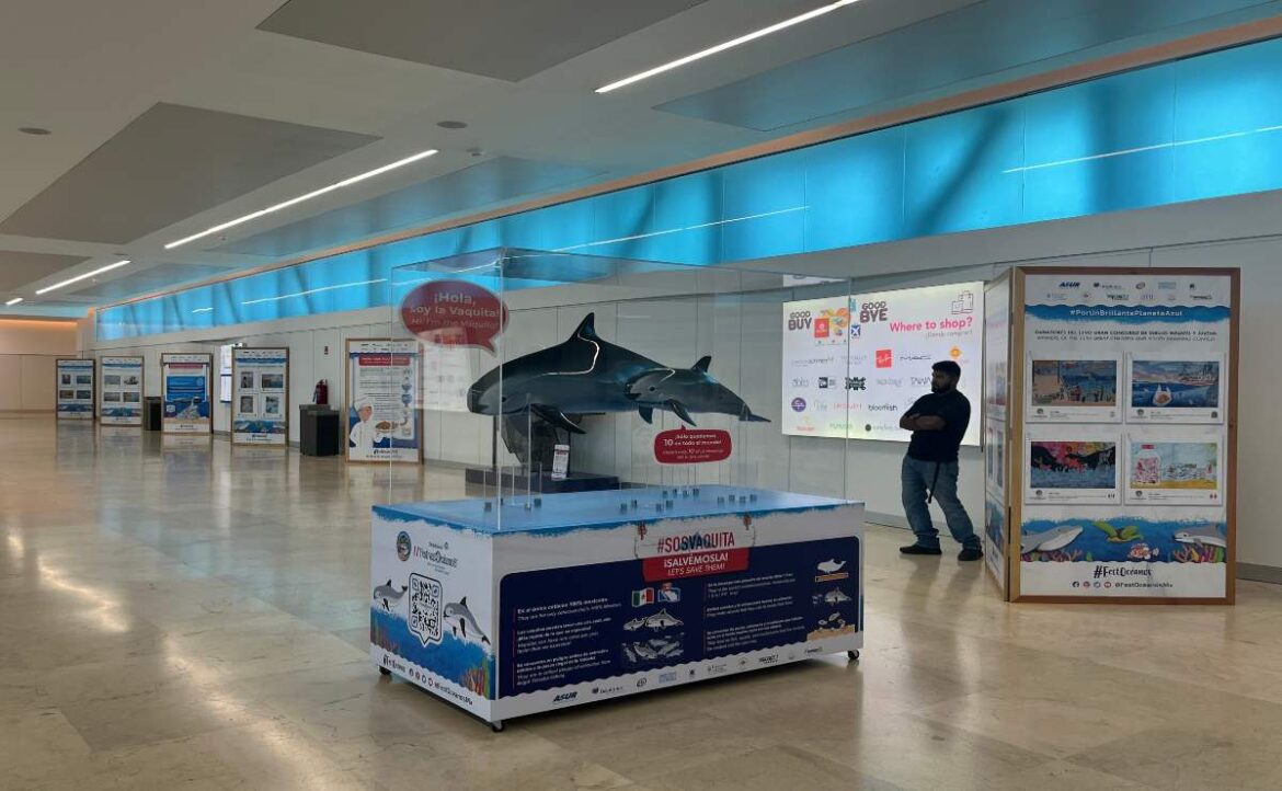 exposición-dobre-los-océanos-en-el-aeropuerto-de-cancun