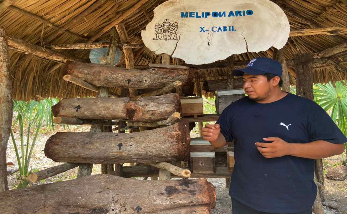Descubre cómo el Programa Surge impulsa el turismo sustentable, destacando el modelo de desarrollo comunitario de Maya Ka'an.