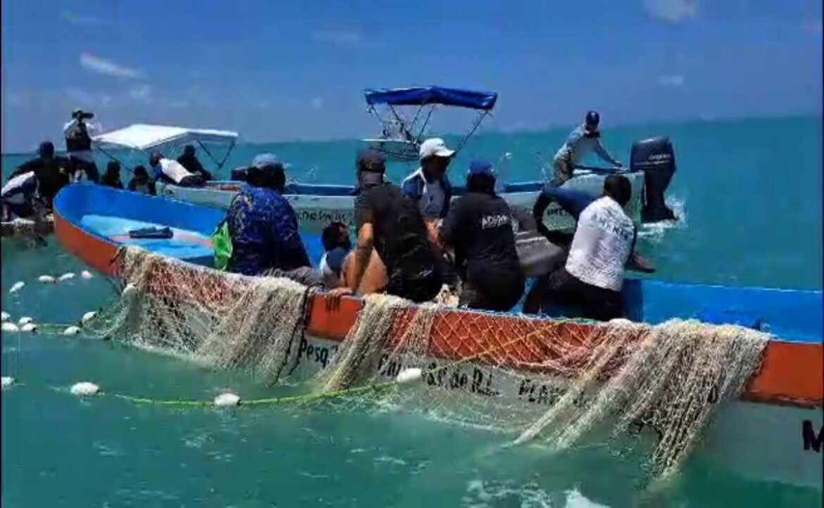 Se llevó a cabo un rescate en la Reserva de Sian Ka'an, donde se liberó una cría de delfín nariz de botella que nadaba enredada en una soga.