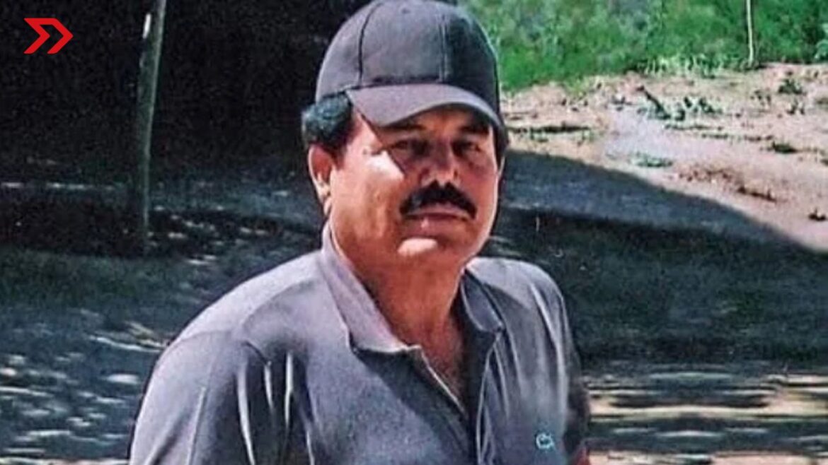 ismael-mayo-zambada-detenido-estados-unidos-texas-cartel-de-sinaloa Este jueves 25 de julio la DEA confirmó la detención de Ismael "El Mayo" Zambada, líder prófugo del Cártel de Sinaloa, en Texas, USA.